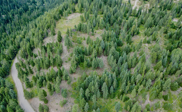 Pictures of Land property located at 248 Abby Rd, Libby, MT 59923 for sales - image #1