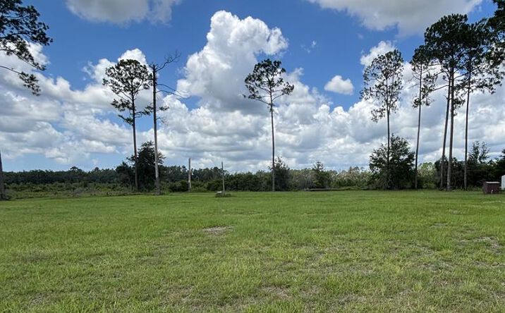 Pictures of Land property located at 190 SE 636th St, Old Town, FL 32680 for sales - image #1