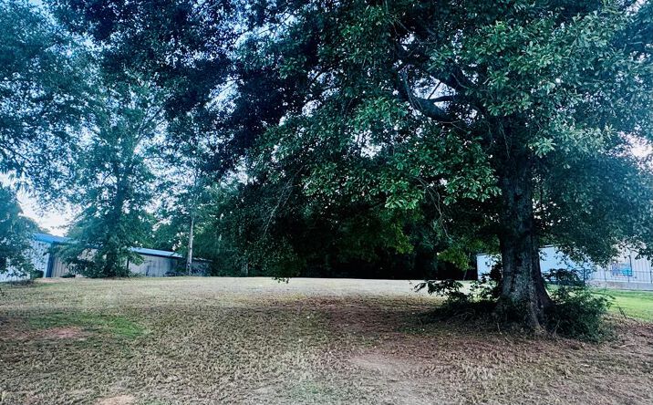 Pictures of Land, Office, Retail property located at 1302 South Main St., Poplarville, MS 39470 for sales - image #1