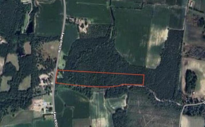 Pictures of Land property located at 0 Nichols Hwy, Aynor, SC 29511 for sales - image #1