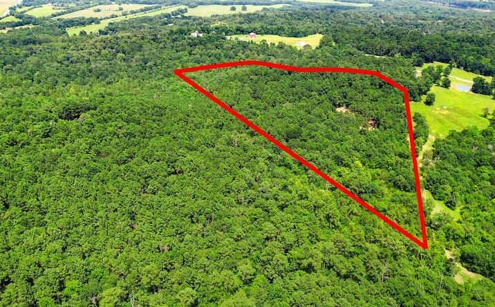 Pictures of Land property located at 268 Cedar Valley Rd, Coldspring, TX 77331 for sales - image #1