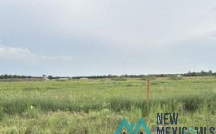 Pictures of Land property located at 301 E Tumbleweed Road, Dexter, NM 88230 for sales - image #1