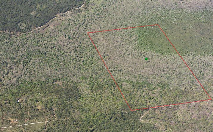 Pictures of Land property located at Underhill Branch Rd, Osteen, FL 32764 for sales - image #1