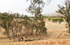24957606