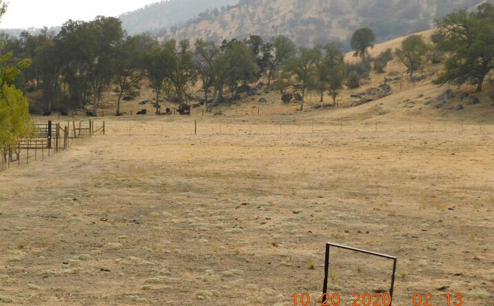 Pictures of Land property located at Bellows Dr, Sanger, CA 93657 for sales - image #1