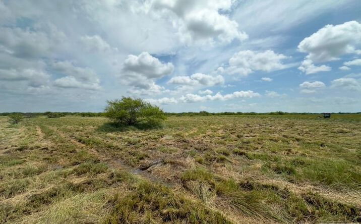 Pictures of Land property located at 000 Old Port Isabel Rd., Brownsville, TX 78521 for sales - image #1