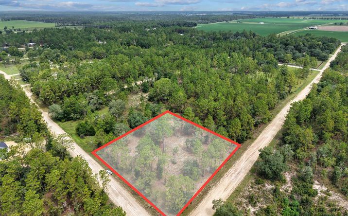 Pictures of Land property located at 610 NE 134th Ct, Williston, FL 32696 for sales - image #1