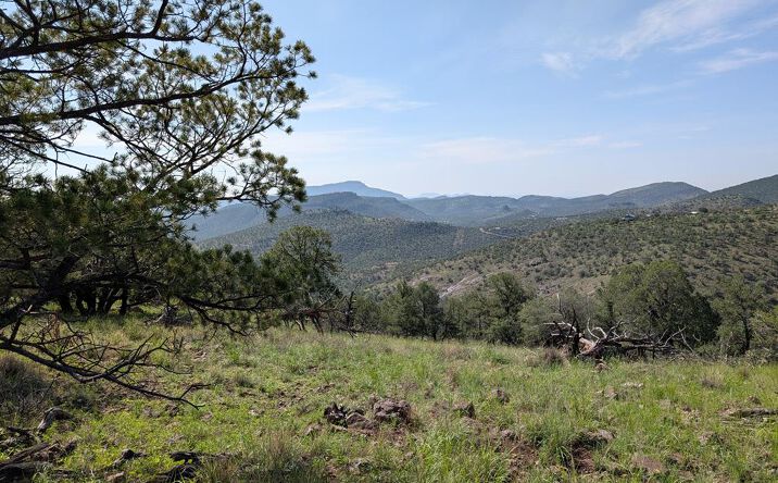 Pictures of Land, Multifamily property located at 301 Low Meadow Trail, Fort Davis, TX 79734 for sales - image #1