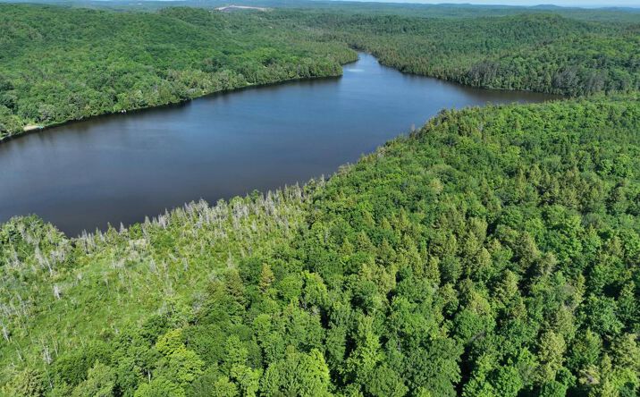 Pictures of Land property located at 000 County Road 553, Marquette, MI 49855 for sales - image #1