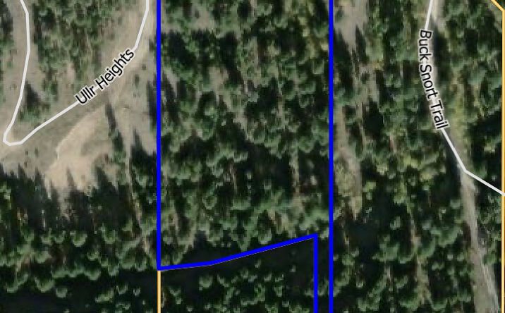 Pictures of Land property located at NKN Wyant Lane, Hamilton, MT 59840 for sales - image #1
