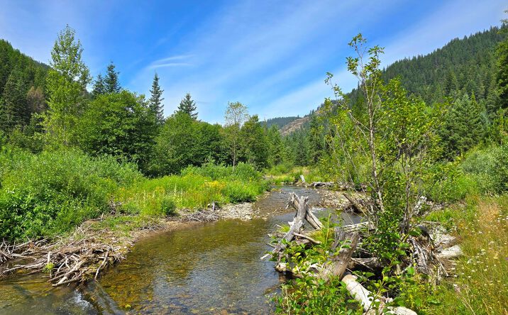 Pictures of Land property located at NHN Marten Creek Road Lots 3 & 4, Trout Creek, MT 59874 for sales - image #1