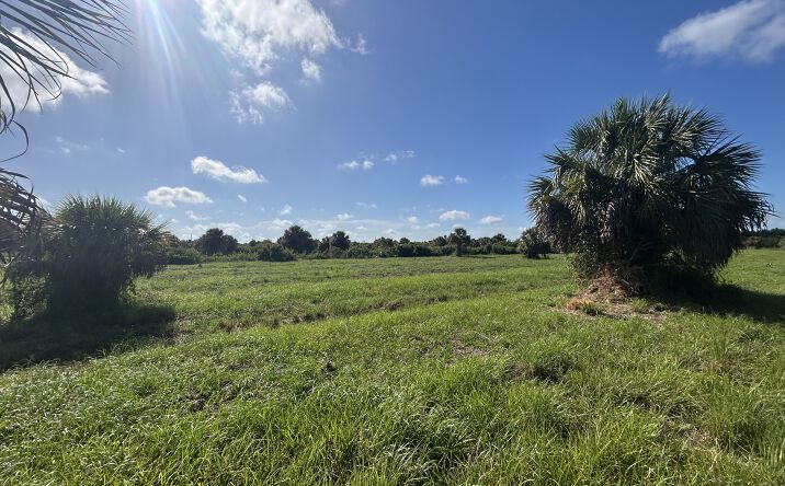 Pictures of Land property located at 7142 Grove Blvd, Punta Gorda, FL 33982 for sales - image #1