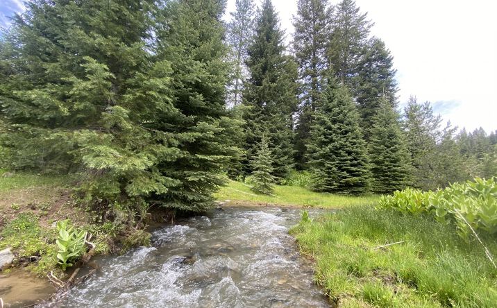 Pictures of Land property located at NFD Road 355, Keating, USA 97814 for sales - image #1