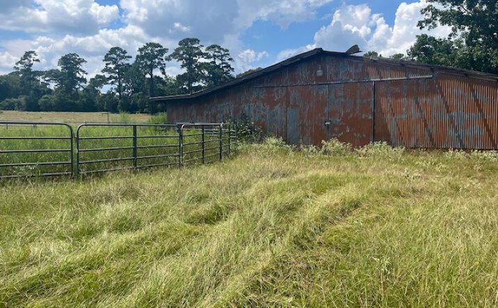 Pictures of Land, Mixed Use, Multifamily property located at 12535 Nicholson Rd, Conroe, TX 77303 for sales - image #1