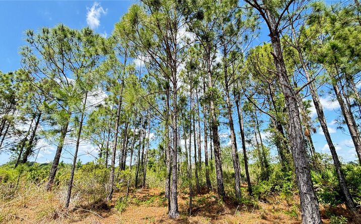 Pictures of Special Purpose property located at 18121 NW 304 th st, Okeechobee, FL 34972 for sales - image #1