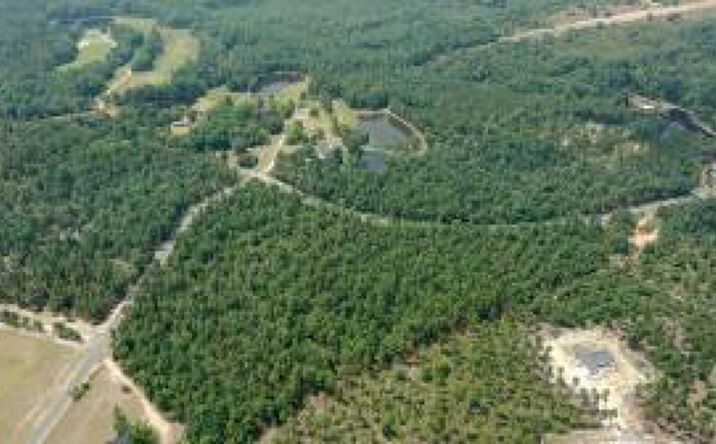 Pictures of Land property located at 7a Mt. Zion Road, Trenton, SC 29847 for sales - image #1