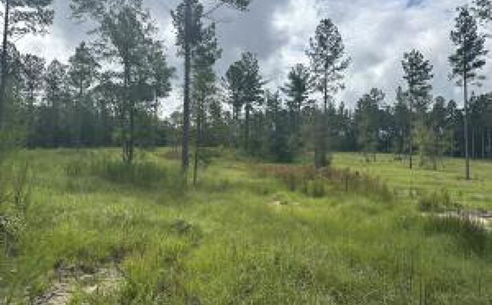 Pictures of Land property located at 1058 Wrights Mill Road, Aiken, SC 29801 for sales - image #1