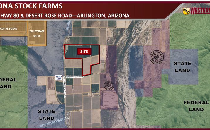 Pictures of Land property located at 0 S Old US Highway 80, Arlington, AZ, Arlington, AZ 85322 for sales - image #1