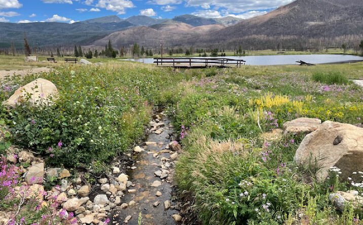 Pictures of Land property located at 3810 Co Rd 491, Grand Lake, CO 80447 for sales - image #1