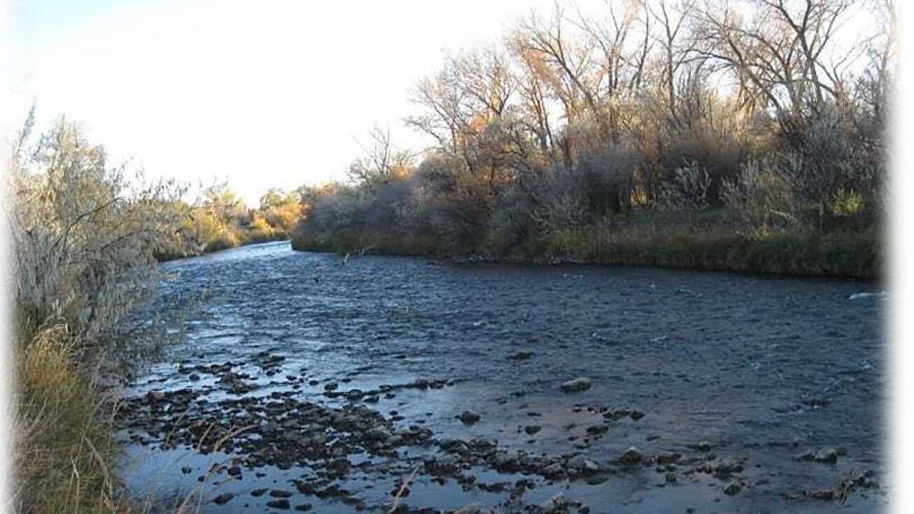 755 Spring Creek Road, Montrose, CO 81403