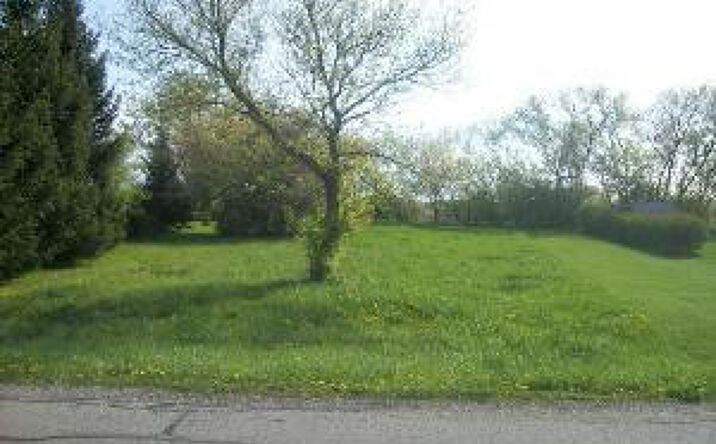 Pictures of Land property located at 0 W North Street, Essex, IL 60935 for sales - image #1