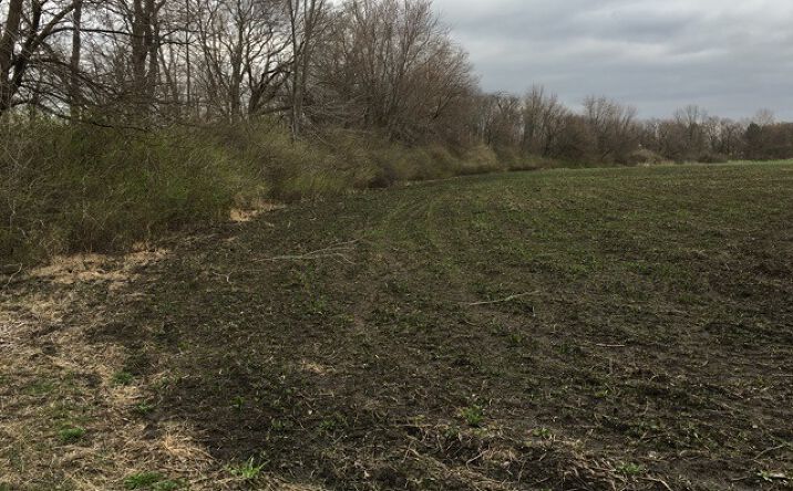 Pictures of Land property located at 0000 S Merchants Street, Essex, IL 60935 for sales - image #1