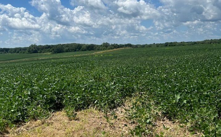 Pictures of Land property located at 2000 County Road, Varna, IL 61375 for sales - image #1