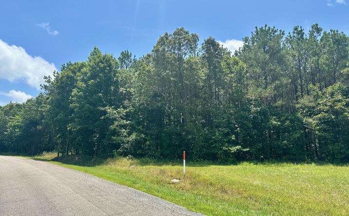 Pictures of Land property located at 000 Moonshine Lp, Huron, TN 38345 for sales - image #1