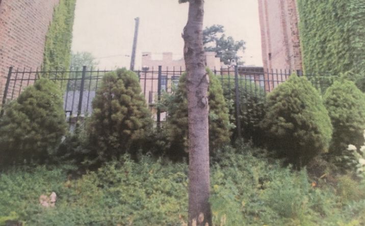 Pictures of Land, Multifamily property located at 6321 S Ingleside Avenue, Chicago, IL 60637 for sales - image #1