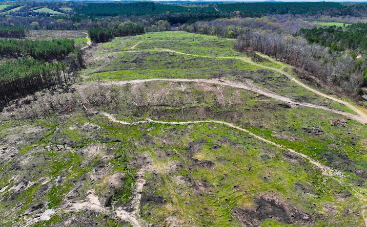 Pictures of Land property located at 1004 Tarpon Rd, Watson, OK 74963 for sales - image #1