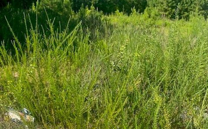 Pictures of Land property located at 0 SE NORTHLAKE Drive SE, Conyers, GA 30013 for sales - image #1