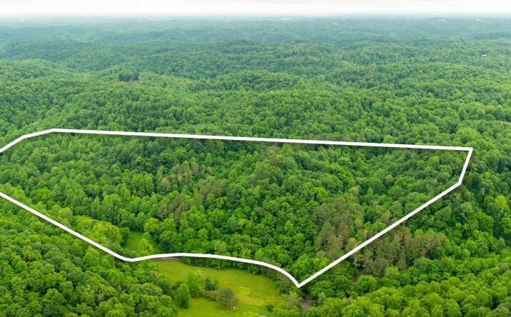 Pictures of Land property located at 765 Leath Chapel Rd., Bethpage, TN 37022 for sales - image #1
