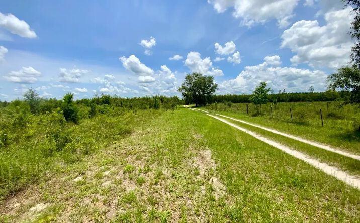 Pictures of Land property located at 2959 SE Winquepin Sr, Lee, FL 32059 for sales - image #1