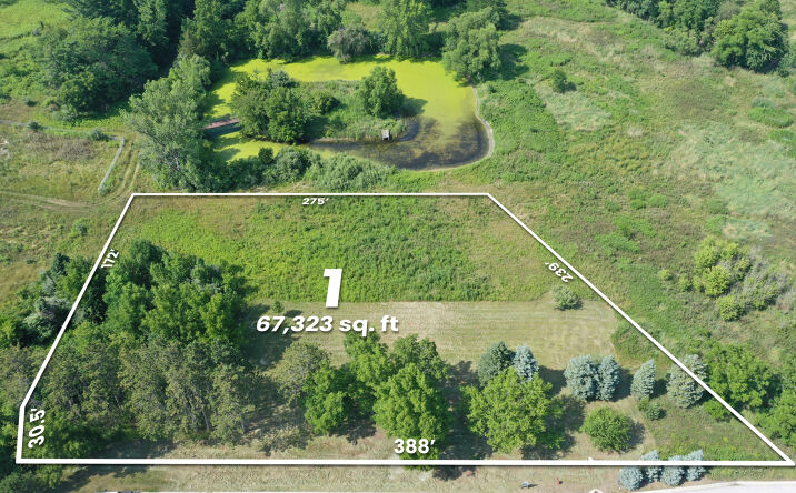 Pictures of Land property located at 12610 Alvina Rose Court, St. John, IN 46373 for sales - image #1