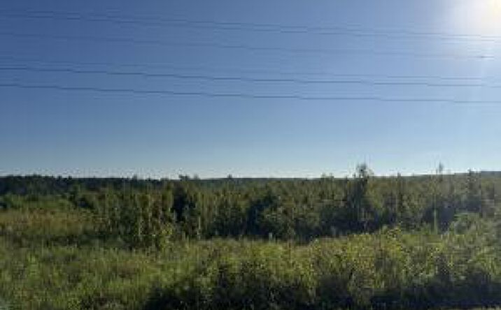 Pictures of Land property located at 20ac Ouzts, Edgefield, SC 29824 for sales - image #1