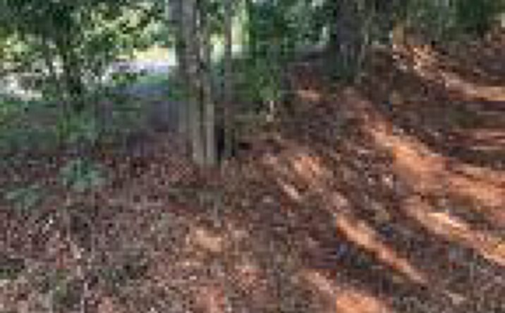 Pictures of Land property located at 0 Huckleberry Finn Road, Batesburg-Leesville, SC 29006 for sales - image #1