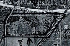 25419612