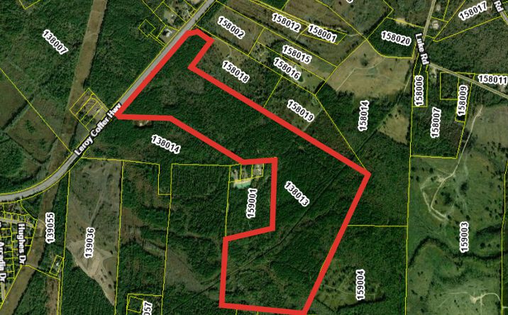 Pictures of Land property located at Leroy Coffer Hwy, Fleming, GA 31309 for sales - image #1