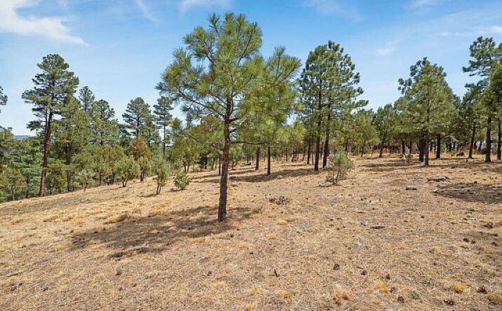Pictures of Land property located at 19 Twin Tree Lp, Alto, NM 88312 for sales - image #1