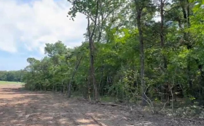 Pictures of Land property located at Spout Springs Rd, Pottsboro, TX 75076 for sales - image #1