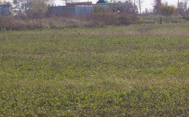 Pictures of Land property located at Lot3 S Rt 52 Road, Manhattan, IL 60442 for sales - image #1