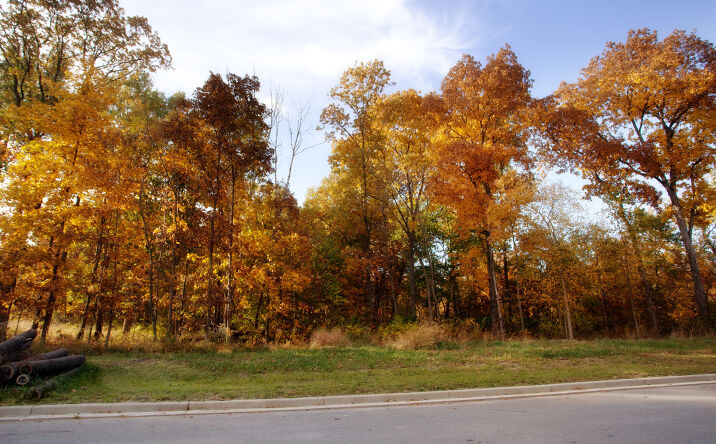 Pictures of Land property located at 3865 166th Lane, Lowell, IN 46356 for sales - image #1