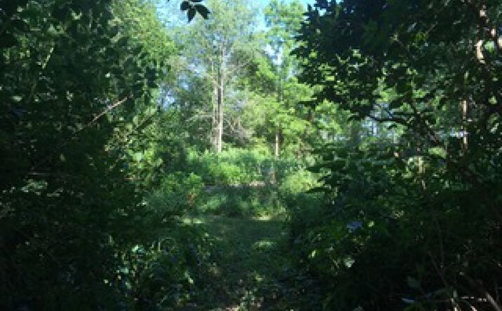Pictures of Land, Special Purpose property located at T.27 N R.13W, Watseka, IL 60970 for sales - image #1