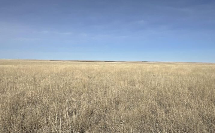 Pictures of Land property located at Kiowa County, CO CRP, Haswell, CO 81045 for sales - image #1