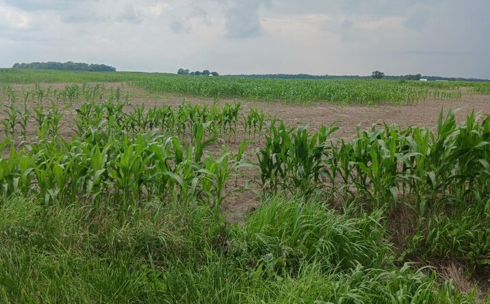 Pictures of Land property located at 0 Phillips Road SE, Washington Court House, OH 43160 for sales - image #1