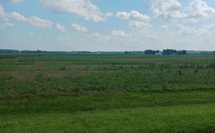 Pictures of Land property located at 0 Eyman Road SE, Washington Court House, OH 43160 for sales - image #1