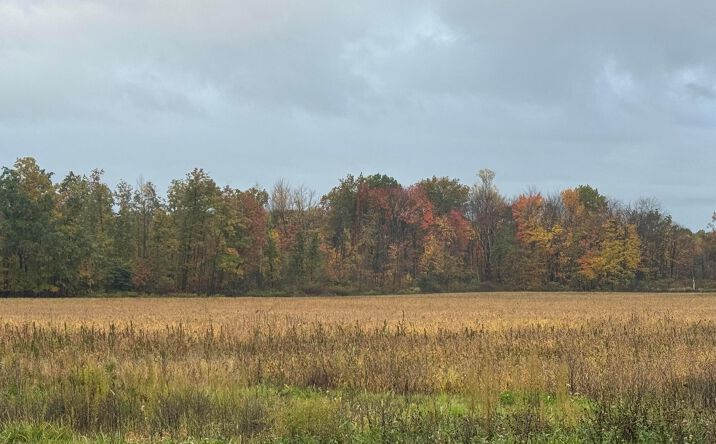 Pictures of Land, Mixed Use property located at Lampson Road, Austinburg, OH 44010 for sales - image #1