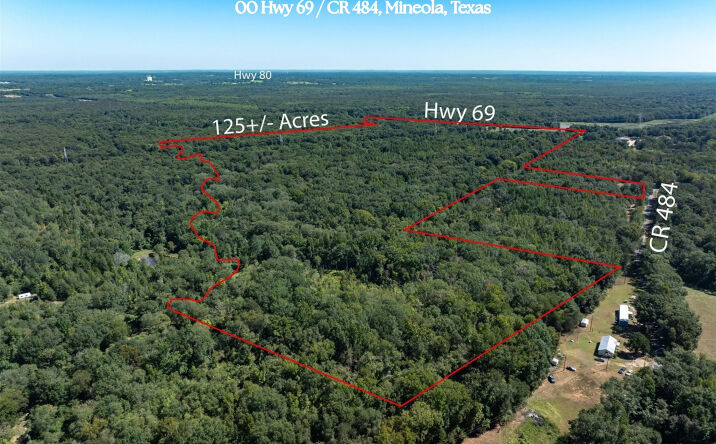 Pictures of Land property located at 00 Hwy 69 / CR 484, Mineola, TX 75773 for sales - image #1