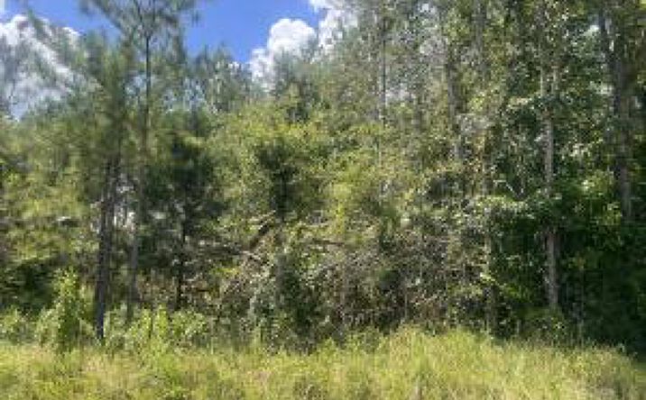 Pictures of Multifamily property located at 00 Gilchrist Road, Edgefield, SC 29824 for sales - image #1