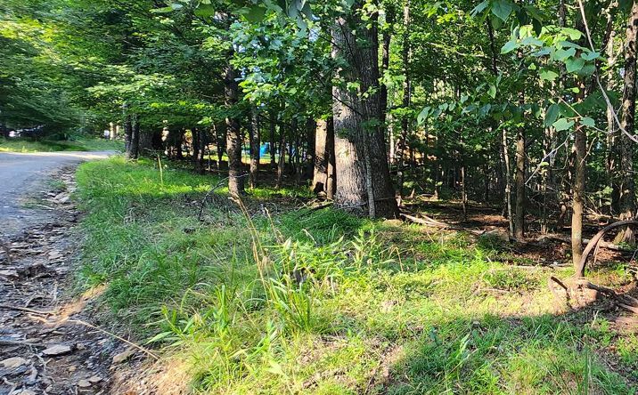 Pictures of Land, Multifamily property located at Lot 8 Apache Trail, Fancy Gap, VA 24328 for sales - image #1